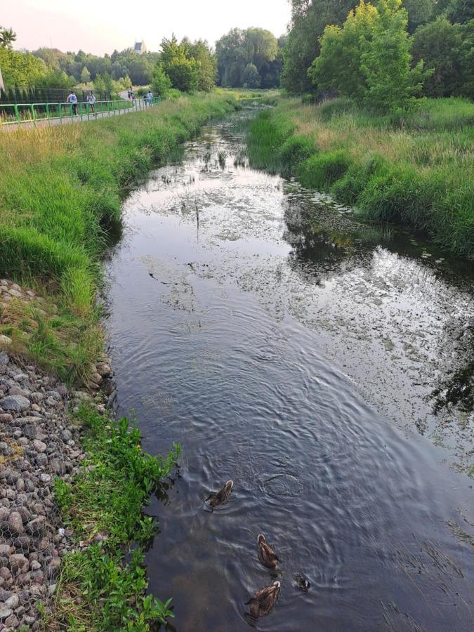 Apartament Nad Ustroniem Gołdap Esterno foto